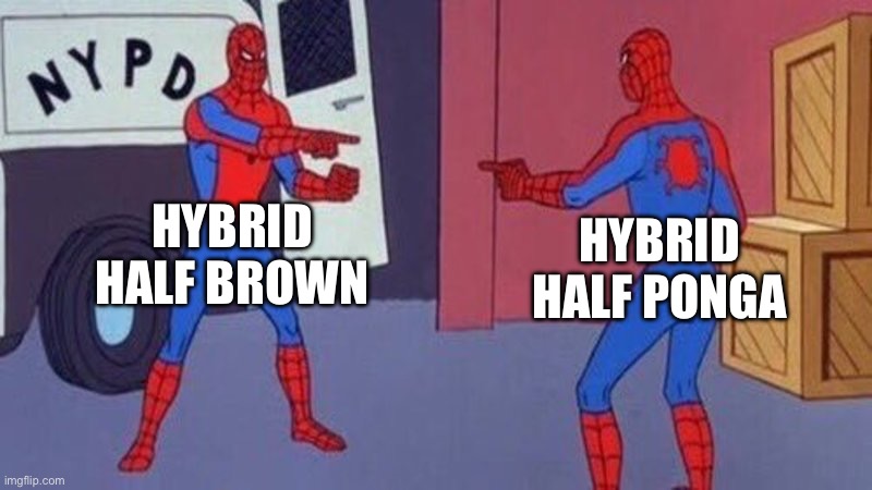 1752732066224.jpeg