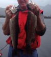 Tas trout.jpg