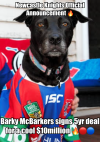 IMG_9997.png